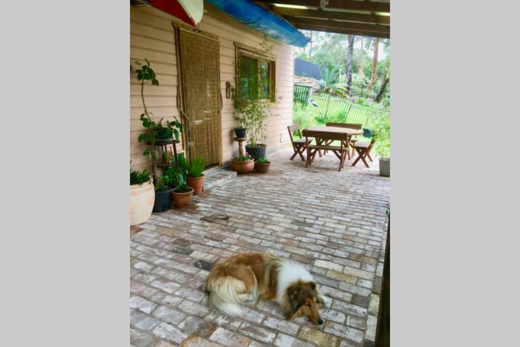 Warrimoo Lower Mountains Retreat מראה חיצוני תמונה